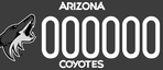 AZ Sports - Coyotes